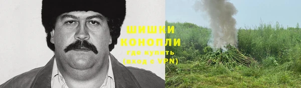 гидропоника Ладушкин