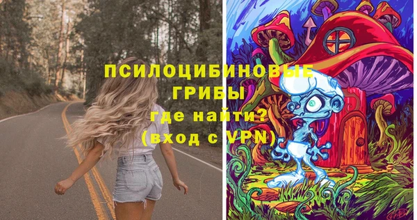 PSILOCYBIN Лагань