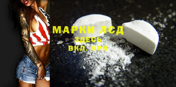 PSILOCYBIN Лагань