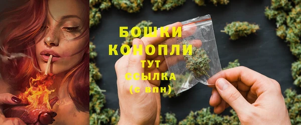 PSILOCYBIN Лагань