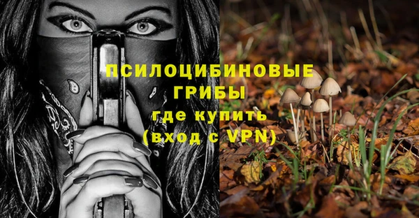 гидропоника Ладушкин