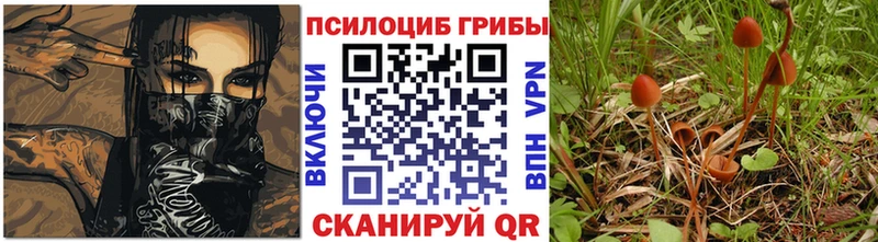Псилоцибиновые грибы мицелий  купить наркотик  Нерчинск 